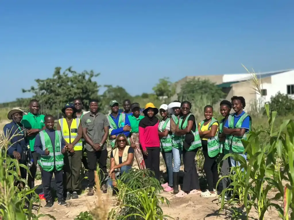 Moza Hydroponic Mocambique