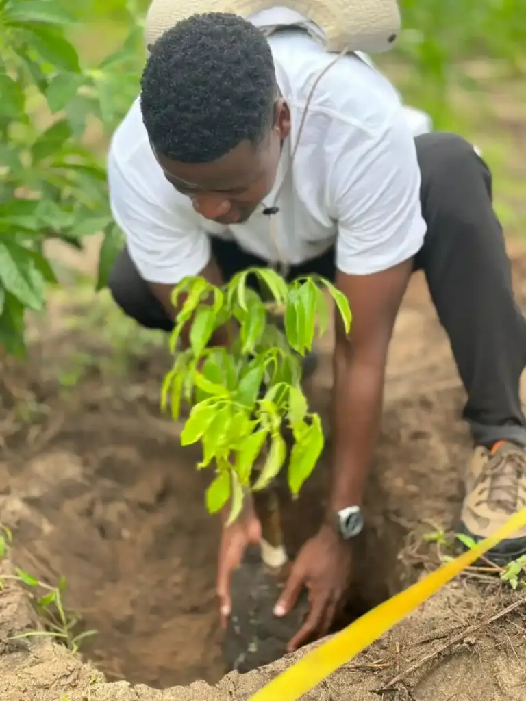 Moza Hydroponic Mocambique